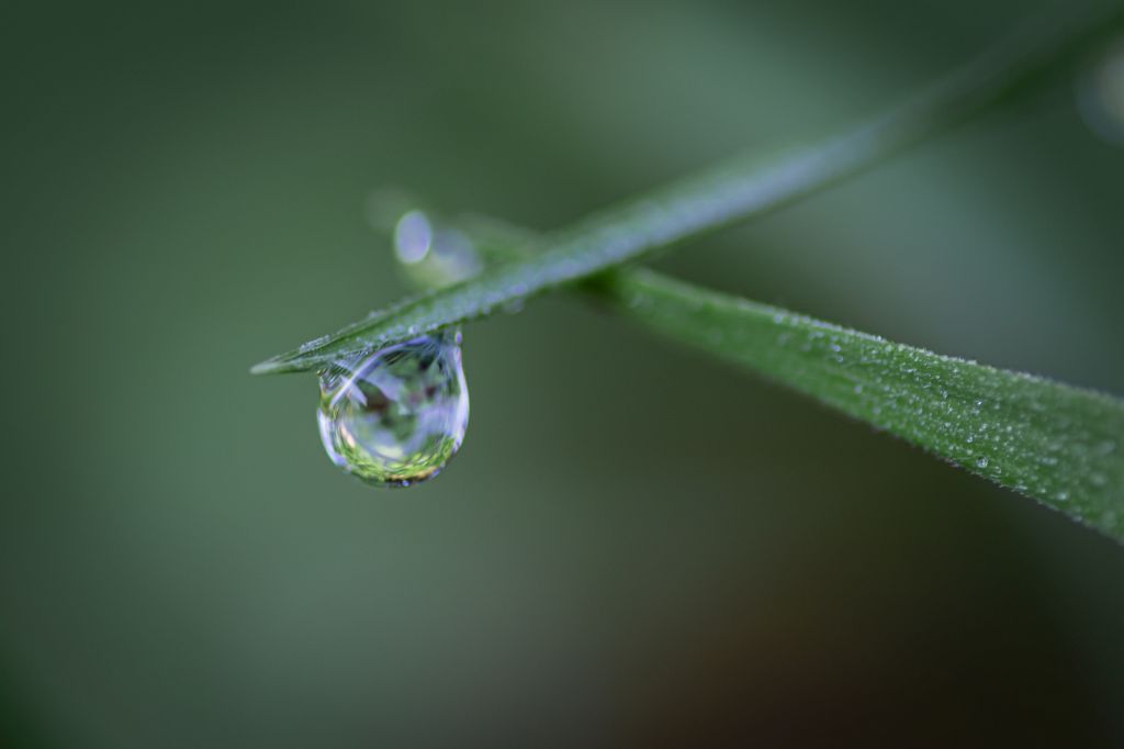 B gota de agua